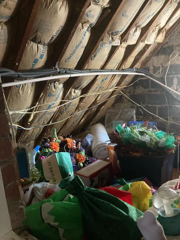 Attic Remodel by Francis Remodeling, before