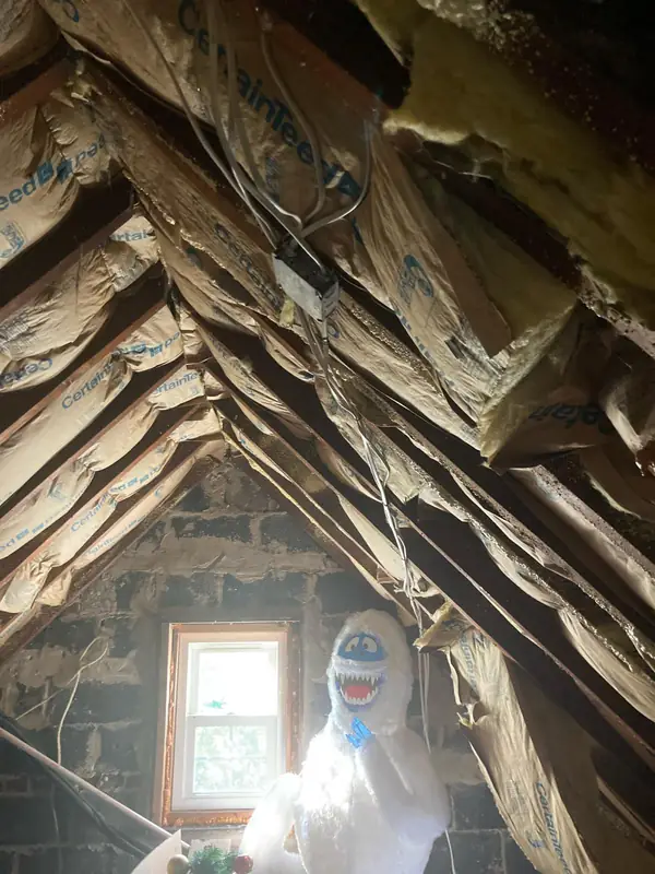 Attic Remodel by Francis Remodeling, before