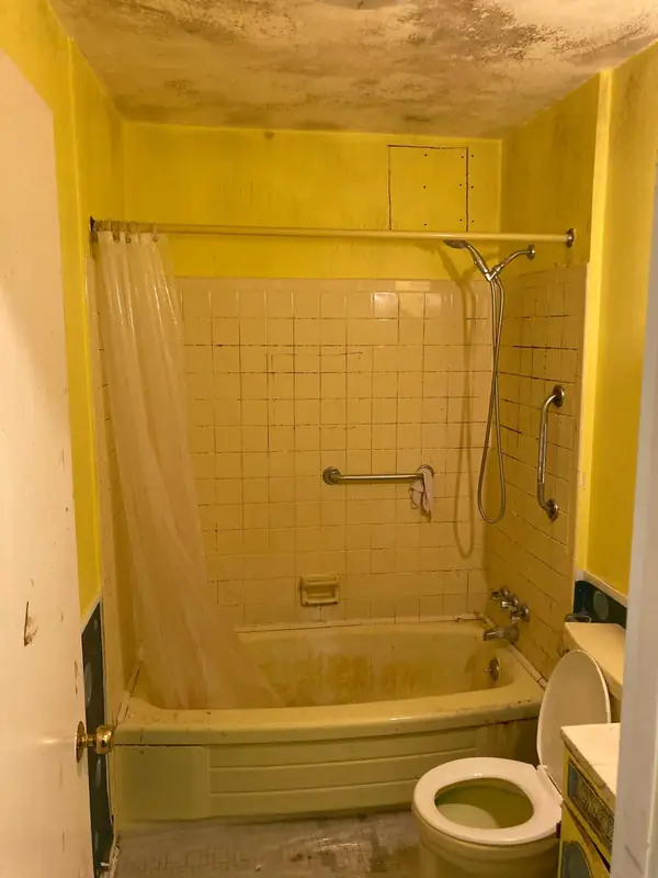 Bathroom Remodel by Francis Remodeling, before